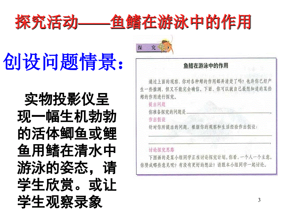 水中生活的动物演示幻灯片_第3页