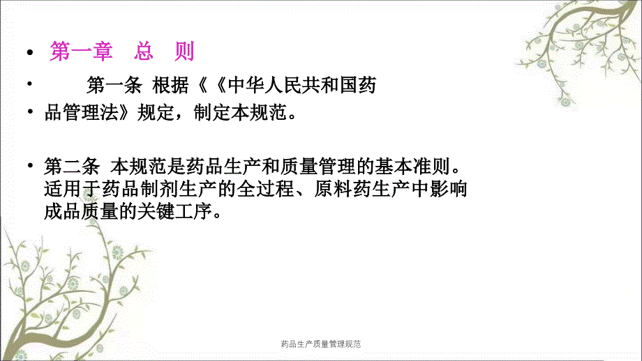 药品生产质量管理规范课件_第2页