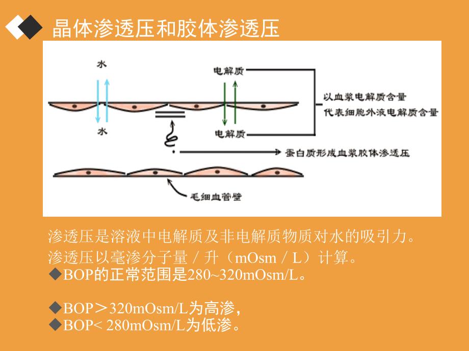 水电解质紊乱及护理.ppt_第4页