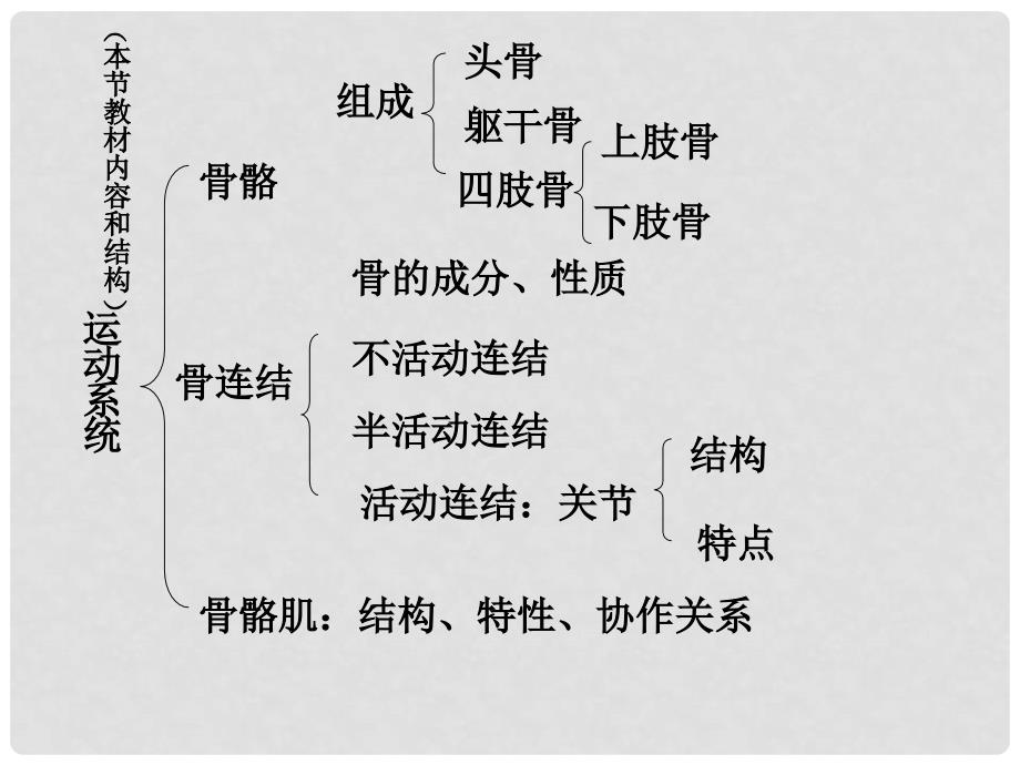 八年级生物上册 17.1 人体的运动教学课件 （新版）苏科版_第3页