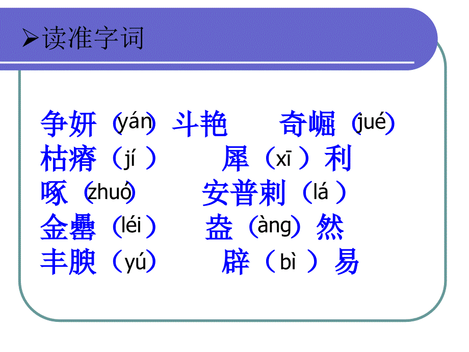 石榴课件_第4页