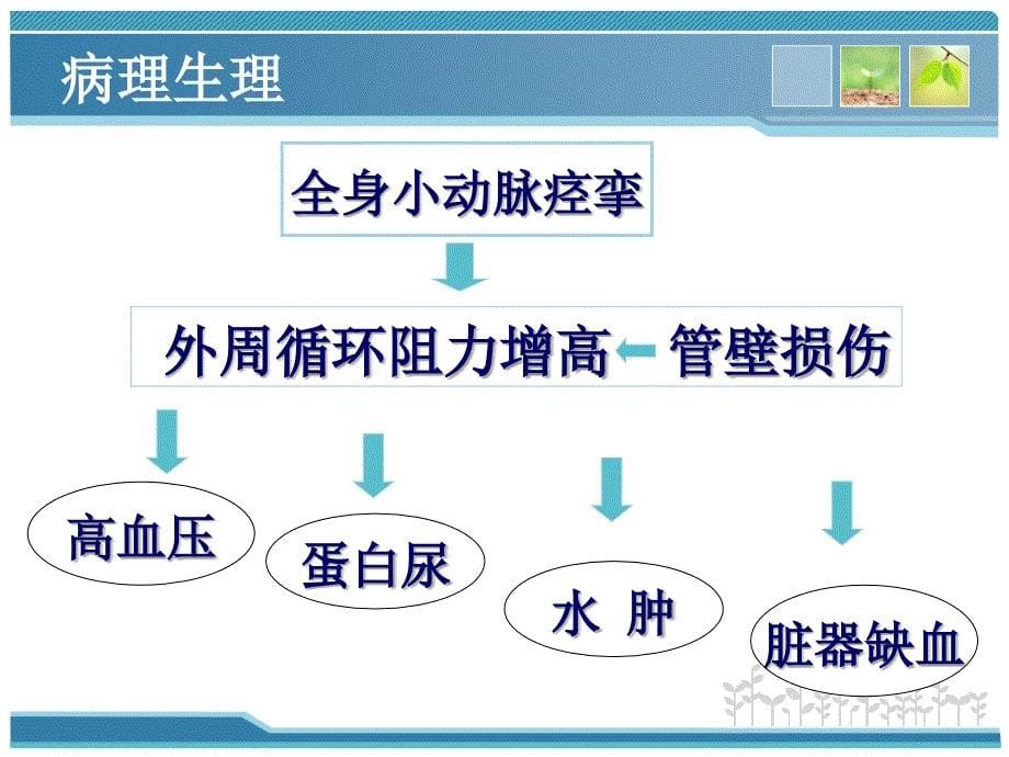 妊娠高血压疾病诊治要点_第5页