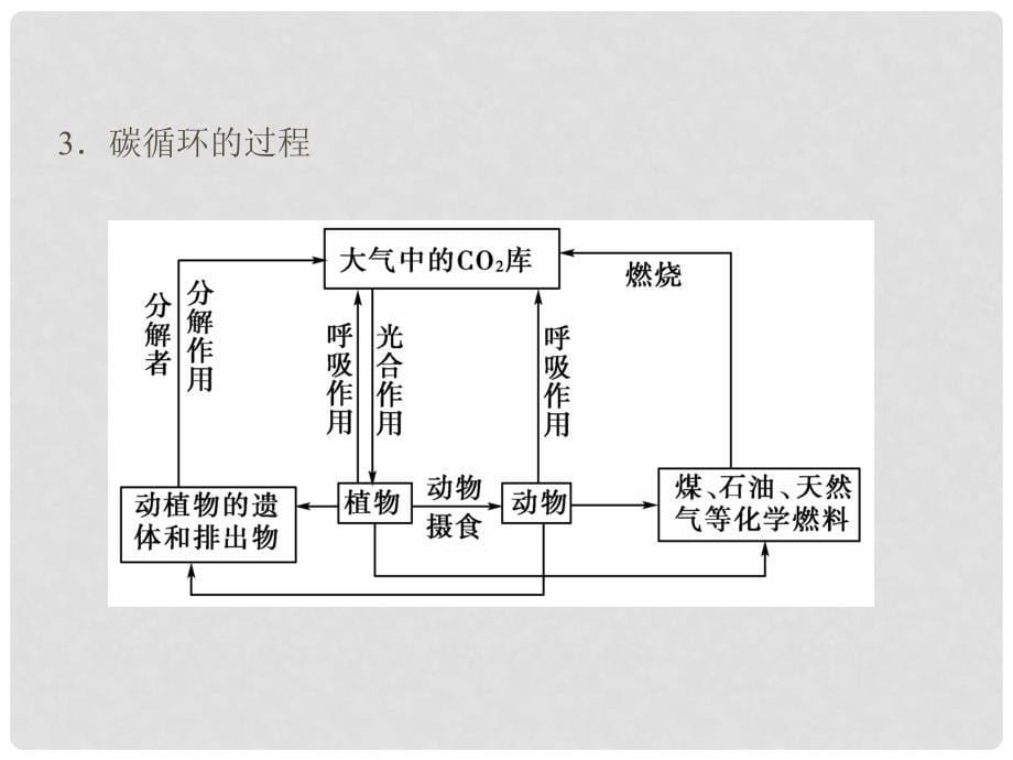 高中生物 第5章 第3节 生态系统的物质循环课件 新人教版必修3_第5页