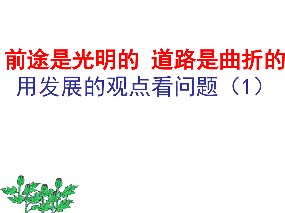 发展的眼光看问题_第1页