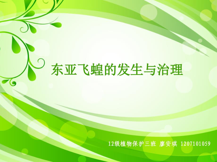 东亚飞蝗的发生与治理课件_第1页