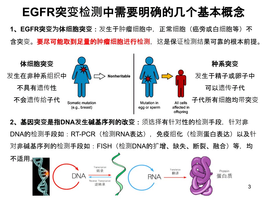 非小细胞肺癌基因检测PPT参考幻灯片_第3页