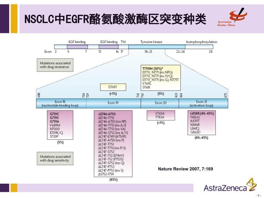 非小细胞肺癌基因检测PPT参考幻灯片_第5页