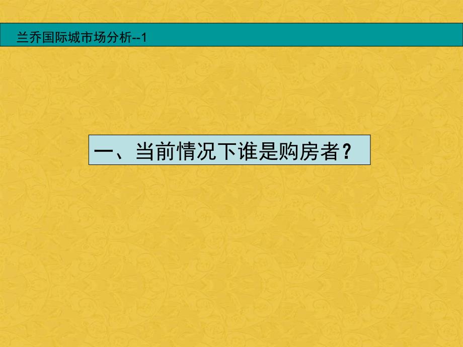 某国际城项目定位报告_第4页