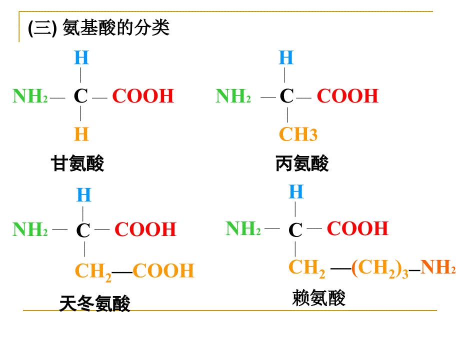 生命的物质基础课件_第3页