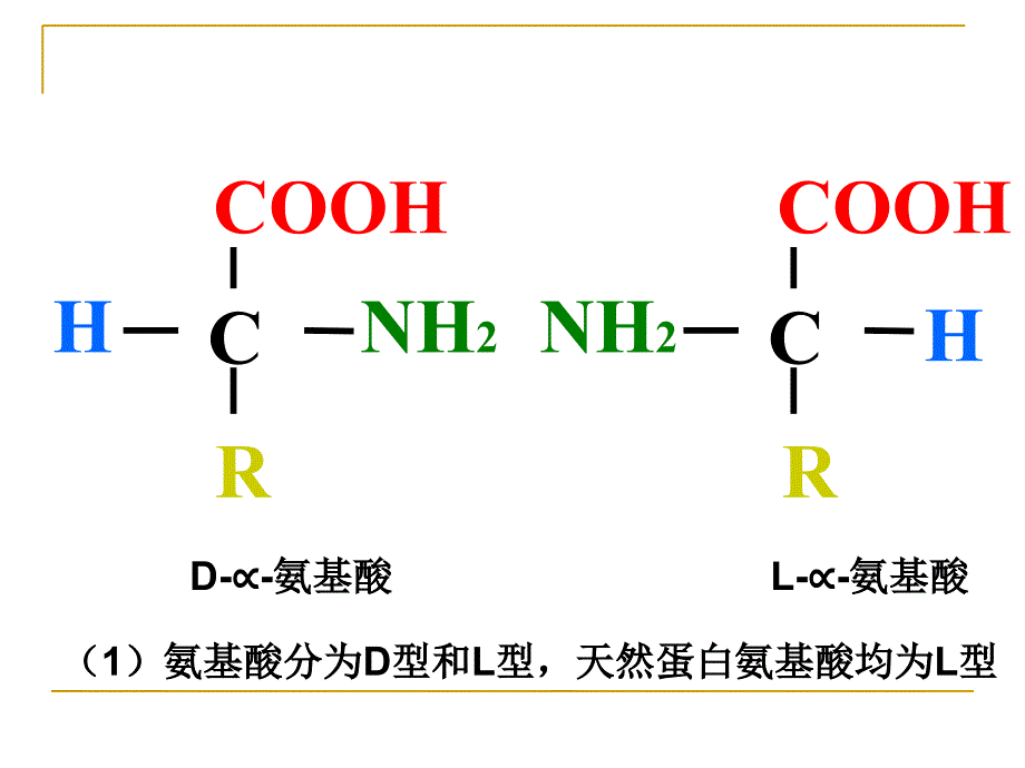 生命的物质基础课件_第4页