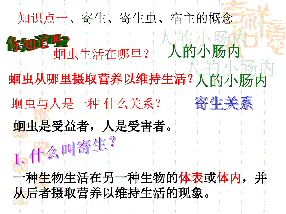 常见动物寄生虫PPT课件_第3页