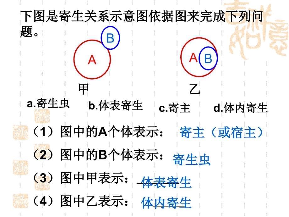 常见动物寄生虫PPT课件_第5页