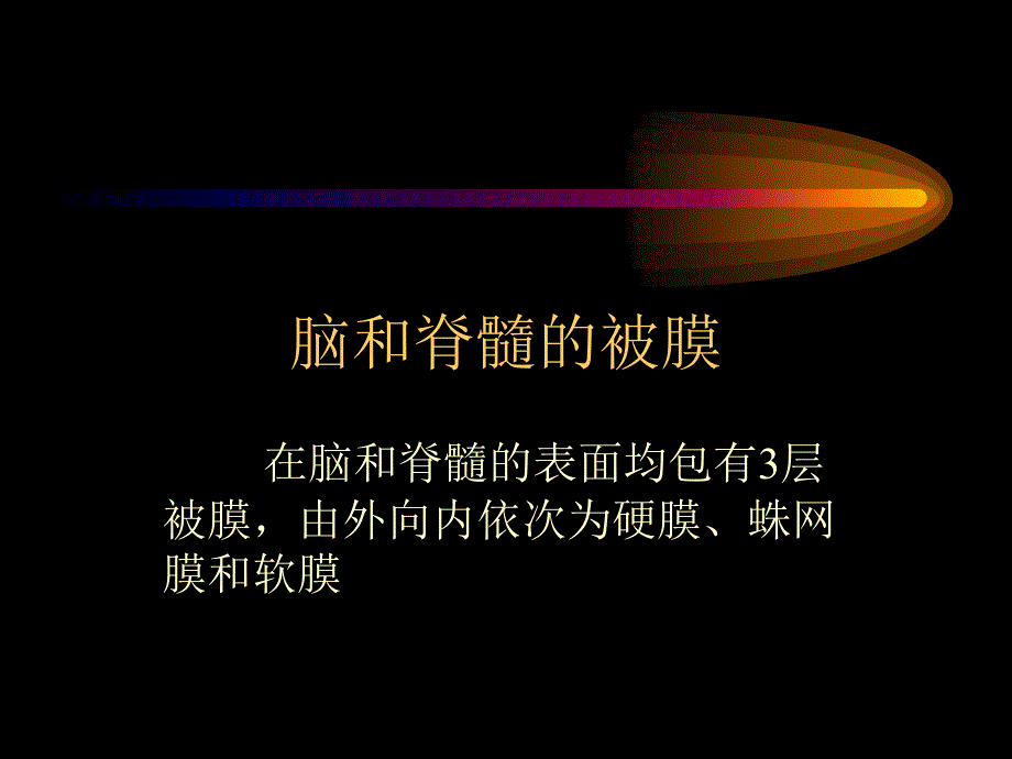 《系统解剖学》教学课件：20脑和脊髓的被膜、血管及脑脊液循环_第3页