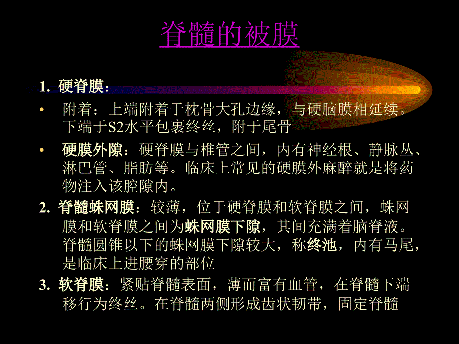 《系统解剖学》教学课件：20脑和脊髓的被膜、血管及脑脊液循环_第4页