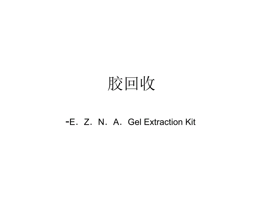 分子生物学实验课：胶回收-质粒提取-双酶切_第1页