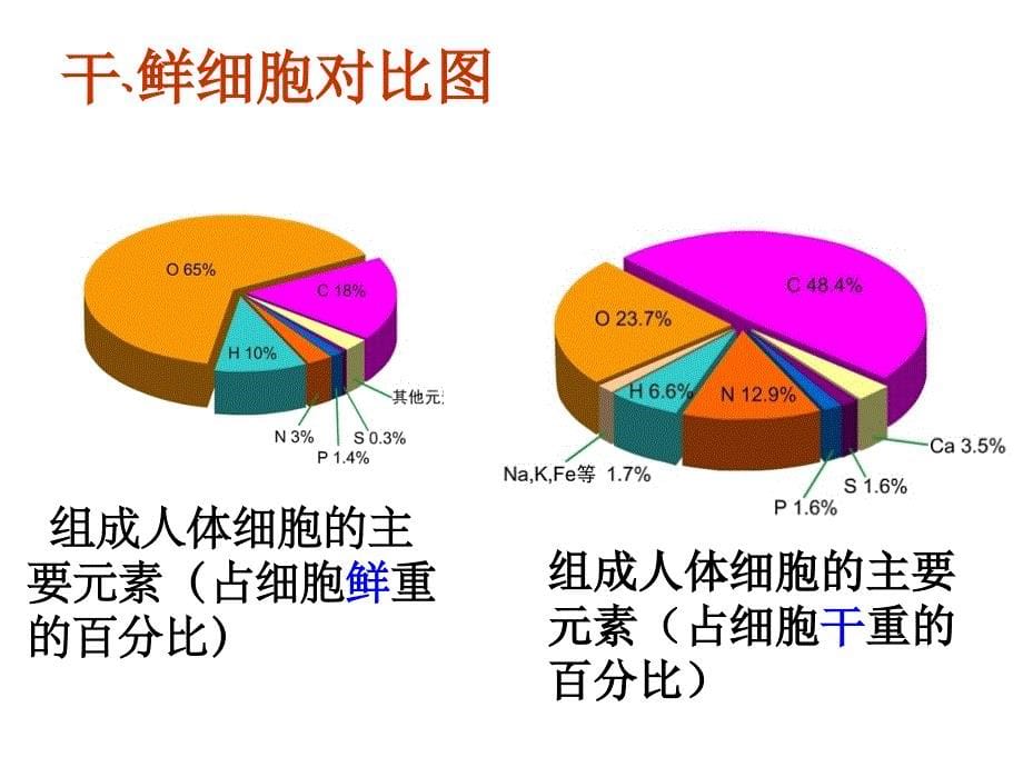 高一生物必修一细胞中的元素和化合物.ppt_第5页