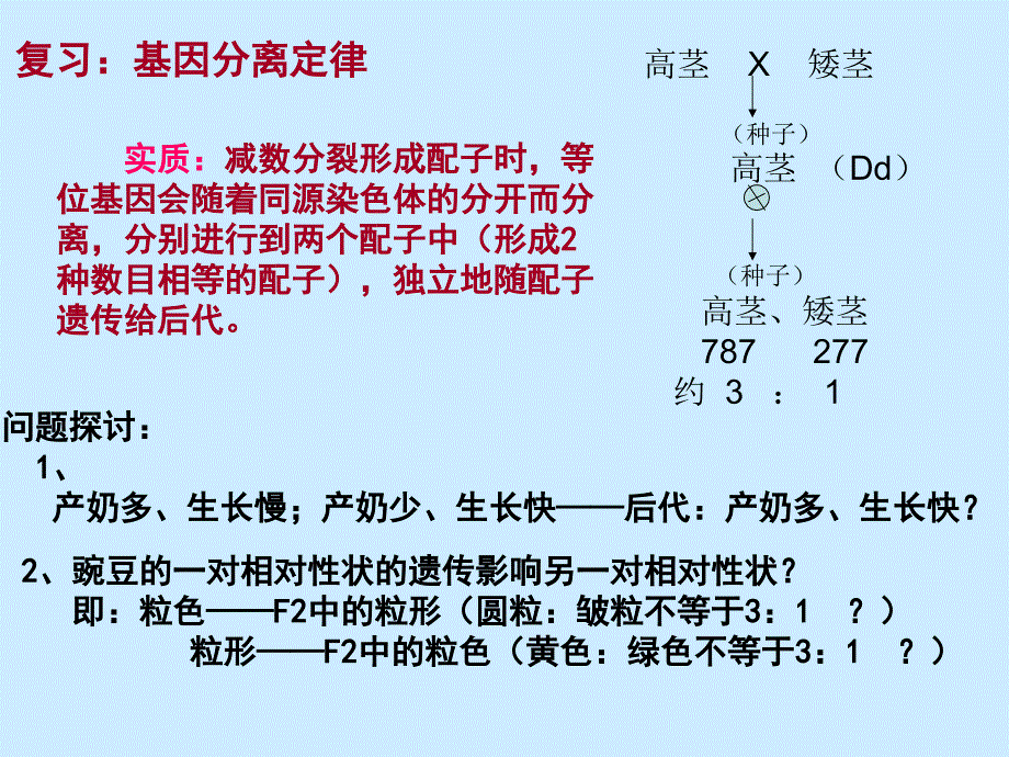 《基因自由组合》PPT课件.ppt_第1页