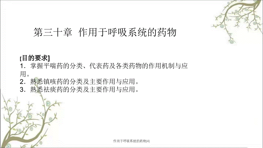 作用于呼吸系统的药物4_第1页