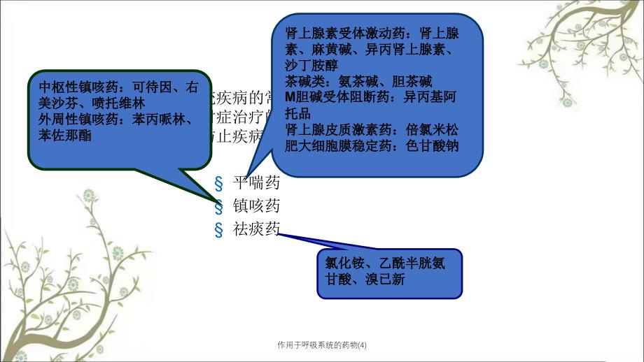 作用于呼吸系统的药物4_第2页