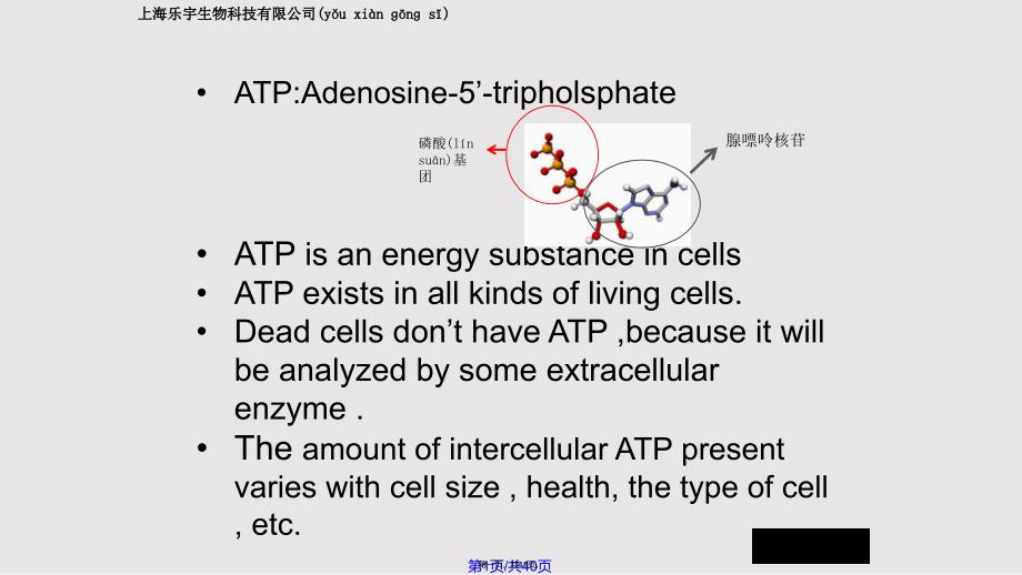 ATP荧光检测仪指导实用教案_第1页