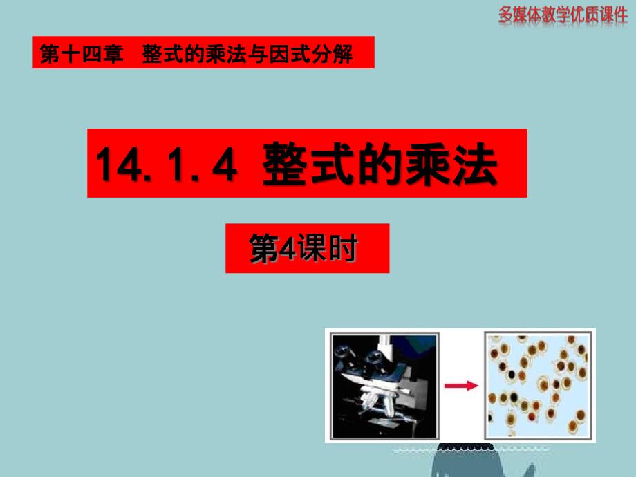 人教版八年级数学上册整式乘法第4课时_第1页