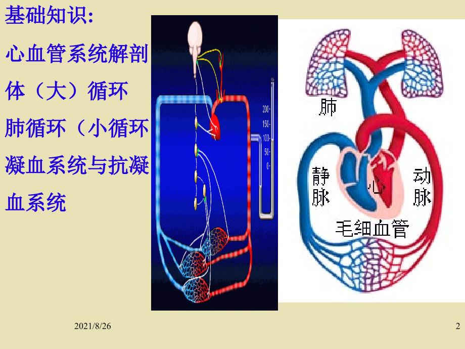 第三章局障课件PPT_第2页