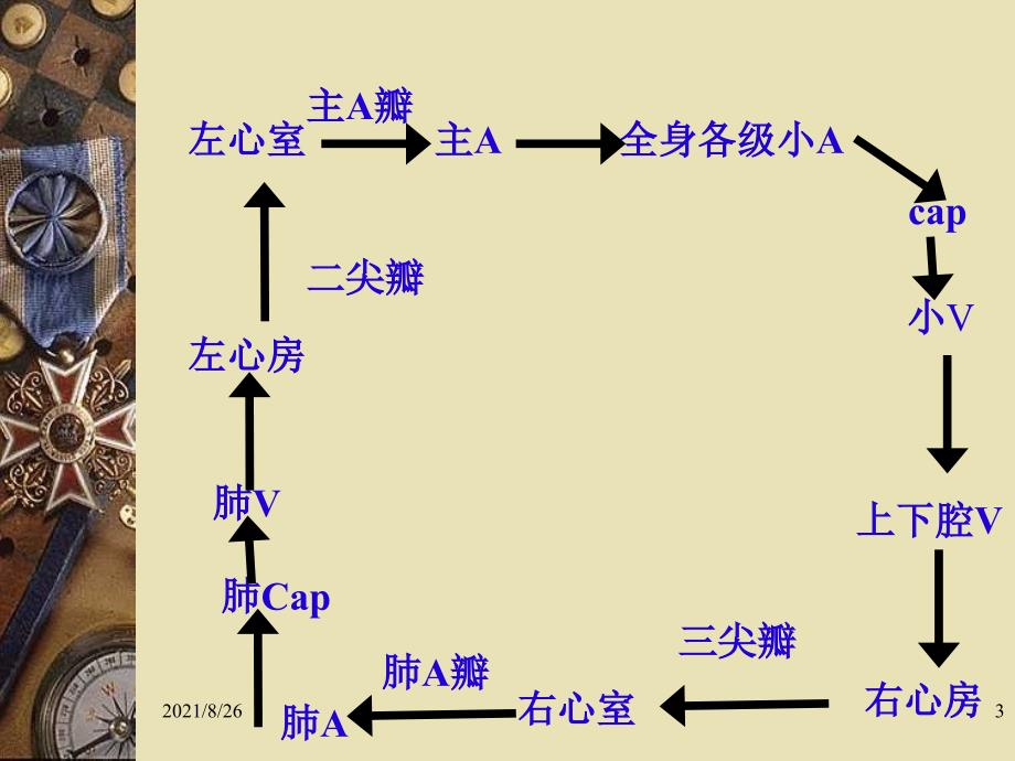 第三章局障课件PPT_第3页