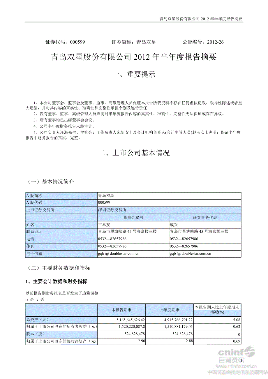 青岛双星半报告摘要_第1页