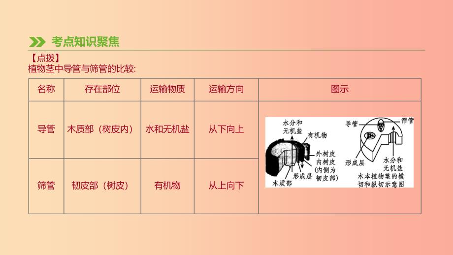 2019年中考生物专题复习三生物圈中的绿色植物第08课时绿色植物与生物圈的水循环课件新人教版.ppt_第3页