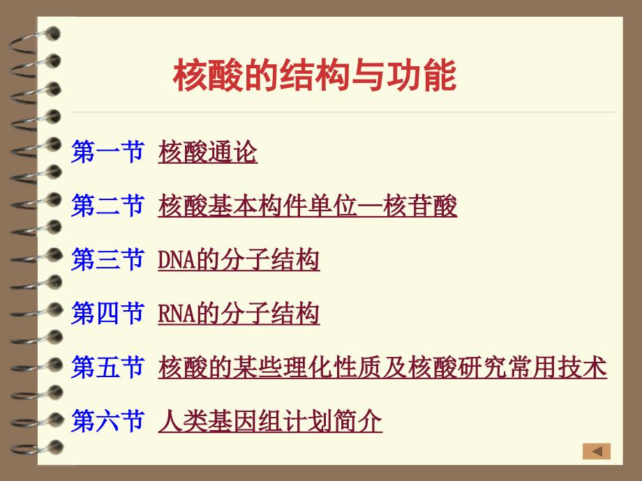 《生物化学》课件-核酸化学_第2页