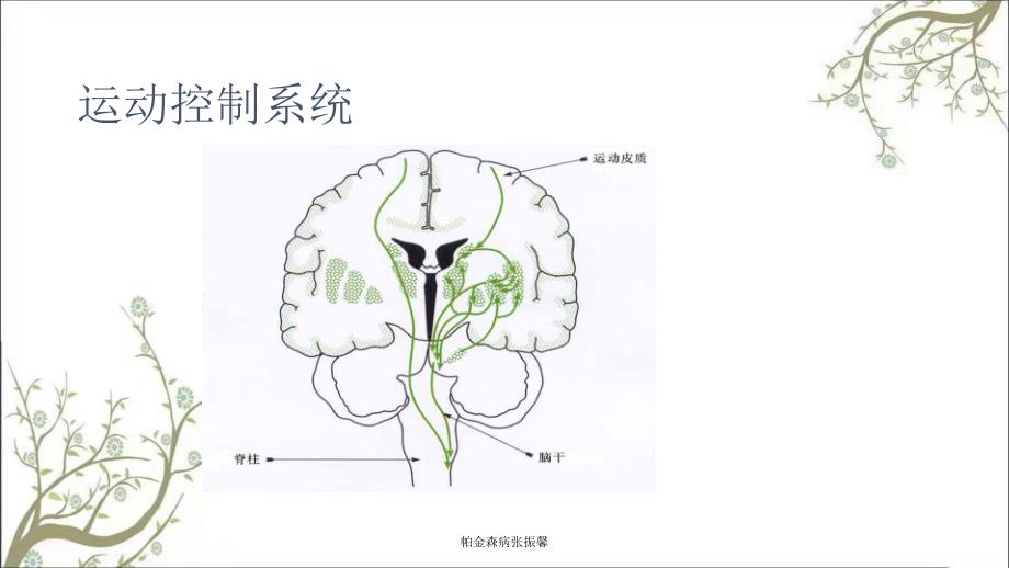 帕金森病张振馨课件_第2页