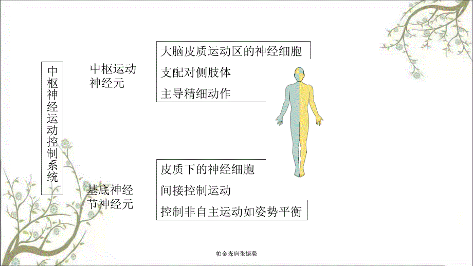 帕金森病张振馨课件_第3页