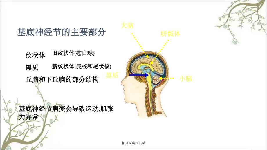 帕金森病张振馨课件_第4页