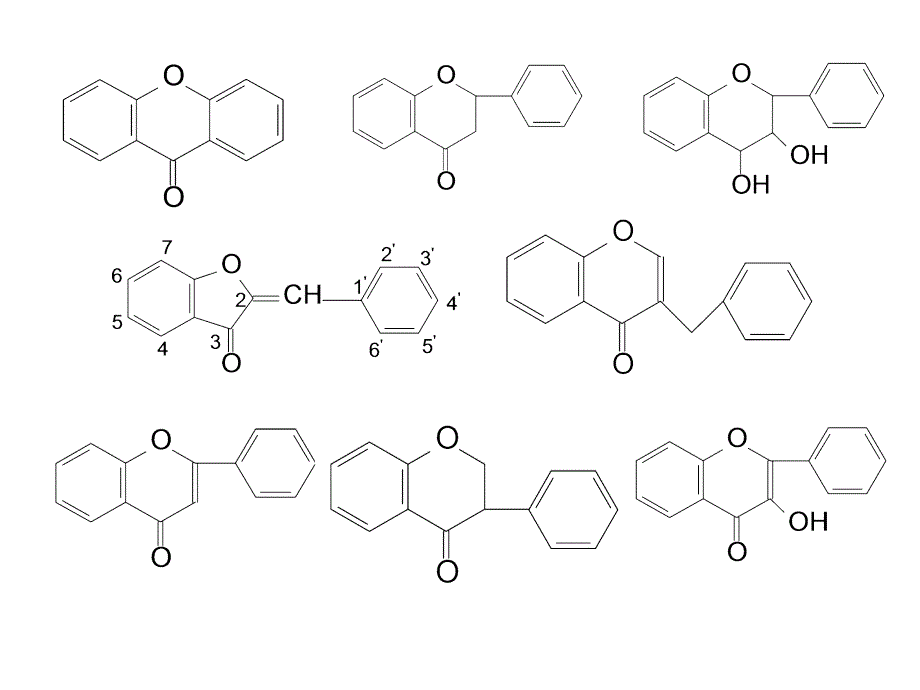 黄酮类化合物(张)1PPT课件_第2页