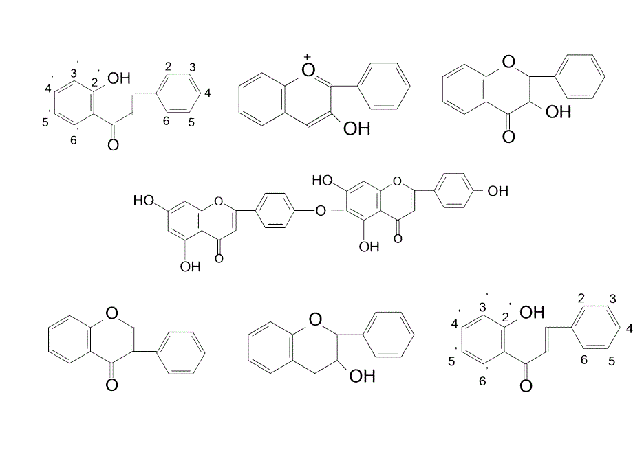 黄酮类化合物(张)1PPT课件_第3页