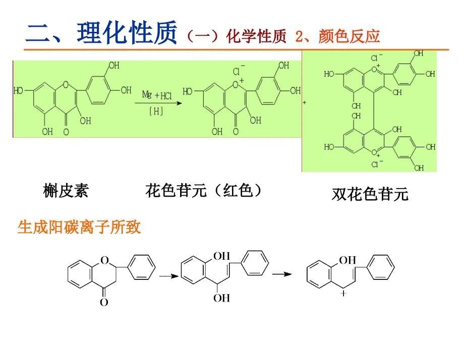 黄酮类化合物(张)1PPT课件_第5页