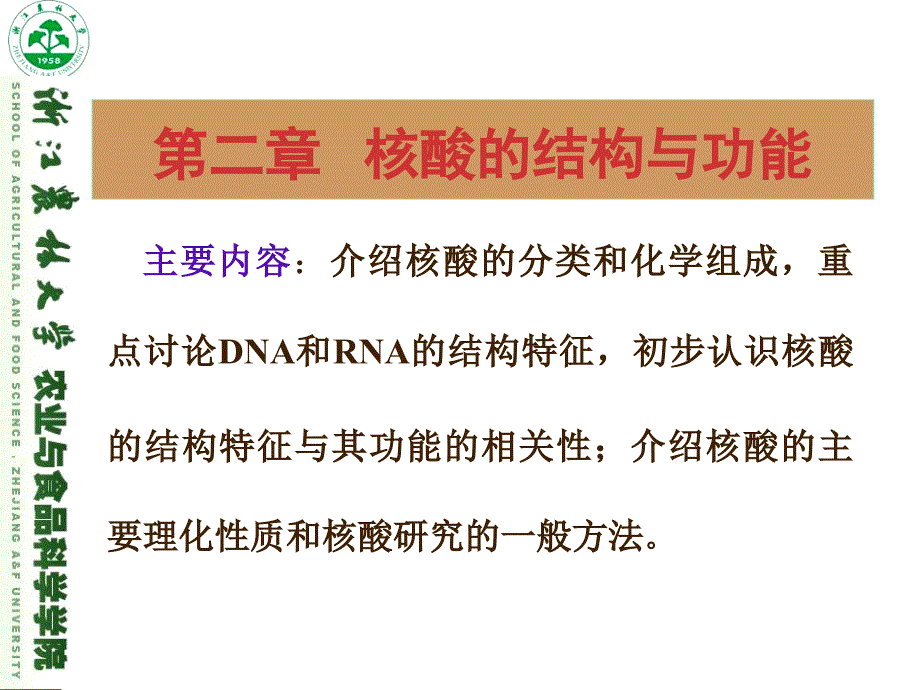 核酸的结构与功能课件_第1页