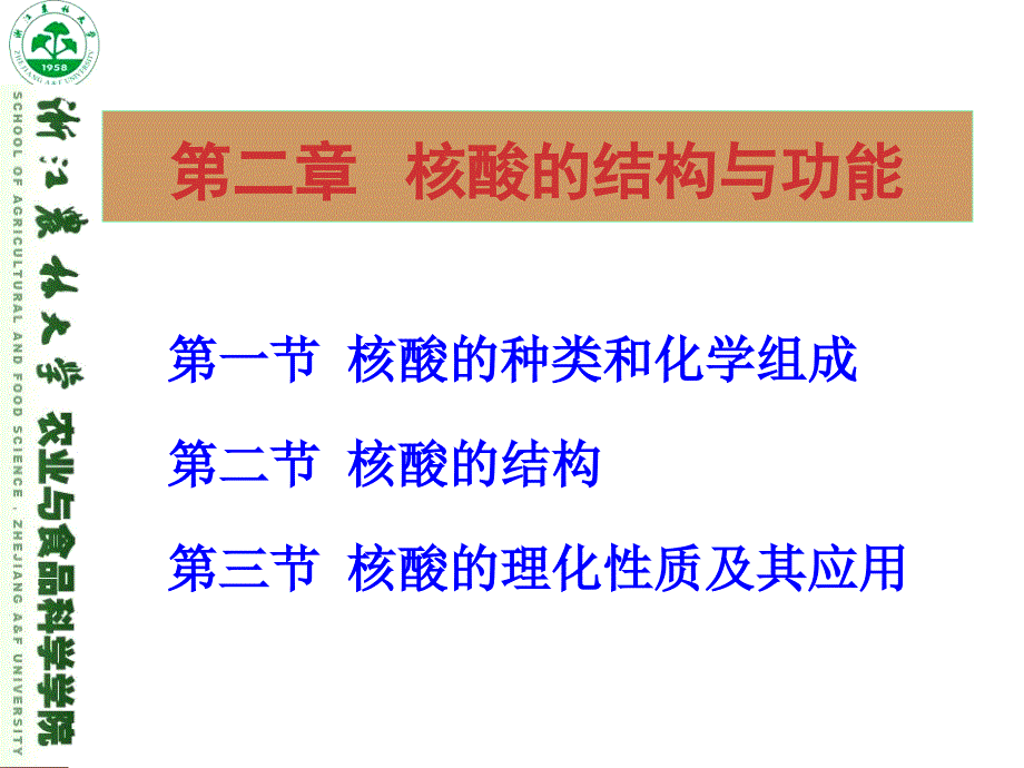 核酸的结构与功能课件_第2页