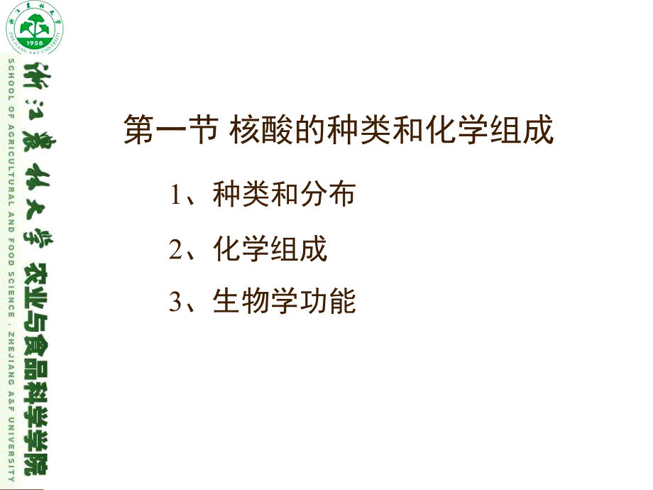 核酸的结构与功能课件_第3页