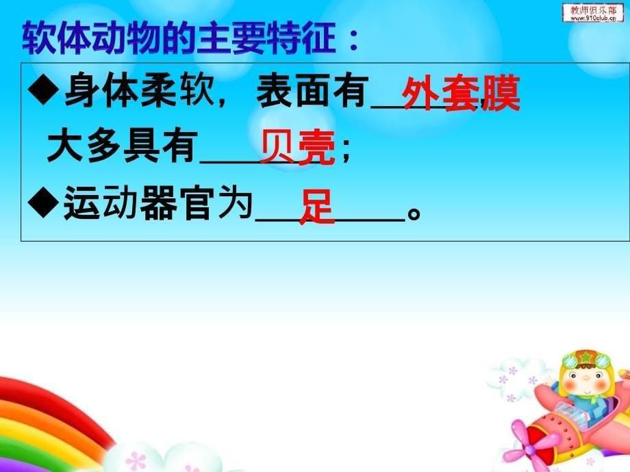 鲁科版生物八年级上册7.1.3软体动物和节肢动物课件2_第5页