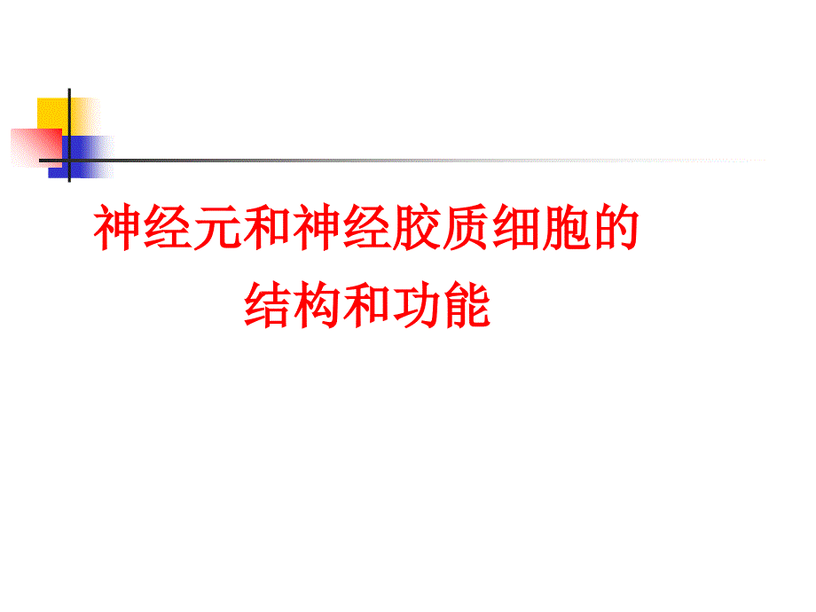 101神经系统PPT文档资料_第1页