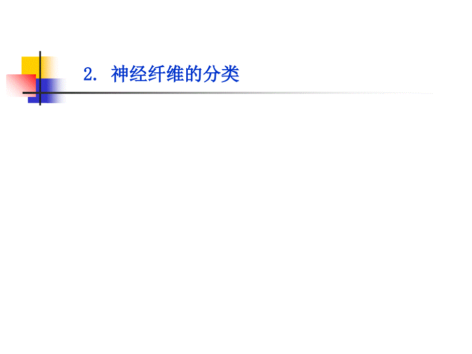 101神经系统PPT文档资料_第4页