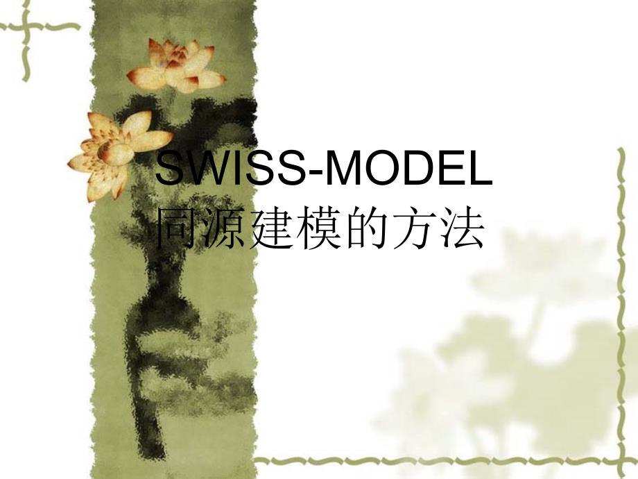 swiss-model的使用.ppt_第1页