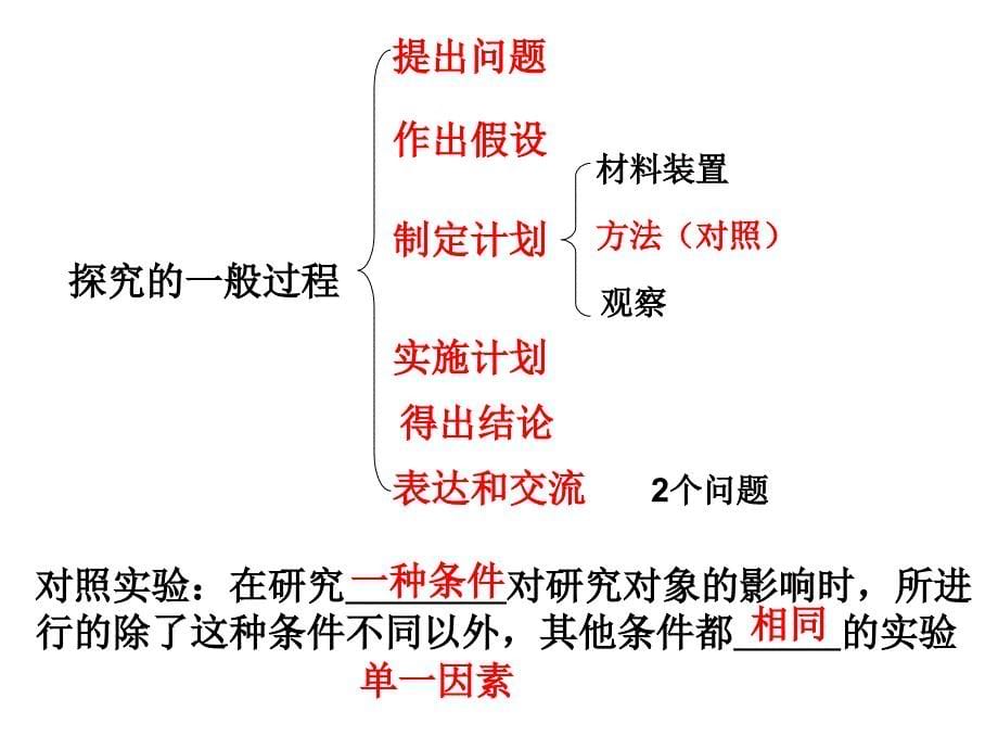 初一上总复习题纲PPT课件_第5页