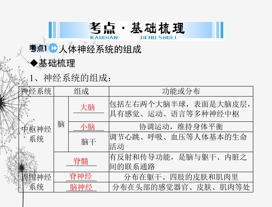 人体的生命活动调节 生物教学课件_第3页