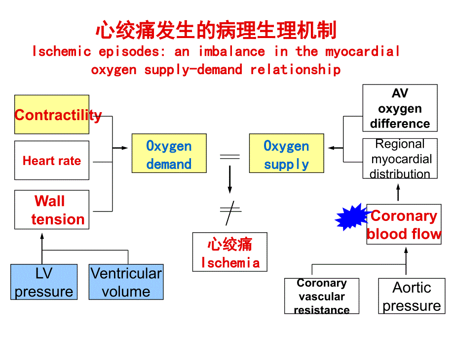 第28章抗心绞痛_第4页