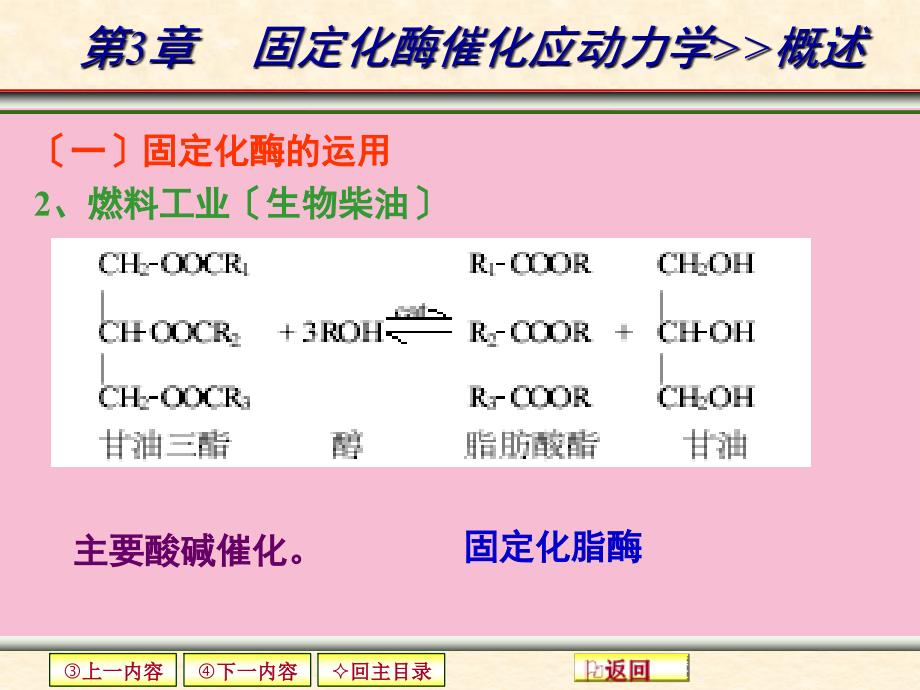 第三章固定化酶催化反应动力学1ppt课件_第3页