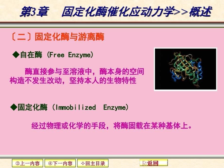 第三章固定化酶催化反应动力学1ppt课件_第5页