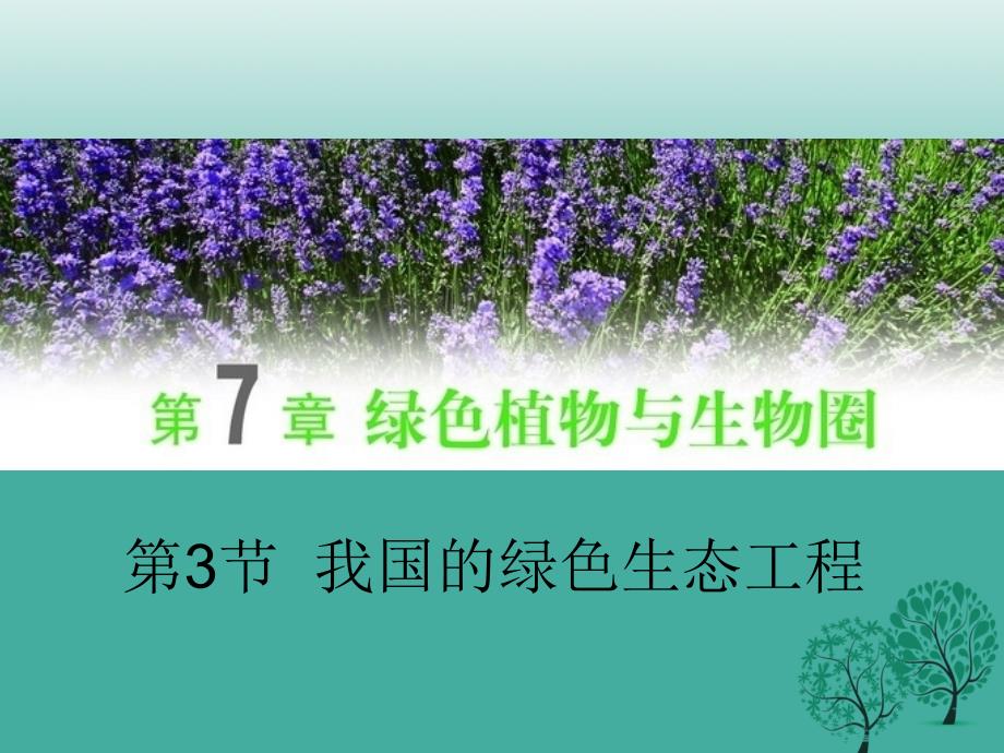 七年级生物上册 3.7.3 我国的绿色生态工程课件 北师大版.ppt_第1页