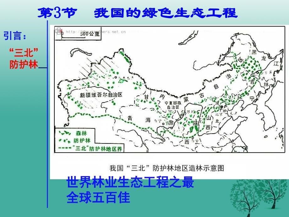 七年级生物上册 3.7.3 我国的绿色生态工程课件 北师大版.ppt_第5页